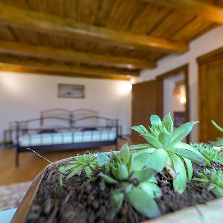 Villa Historicky Dom Kežmarok Esterno foto